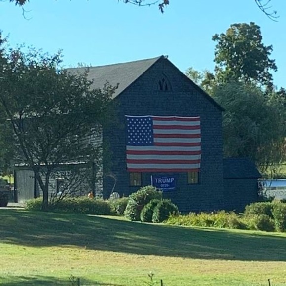 Meet your Posher, Janice - Picture 1 of 1